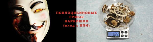 хмурый Сосновый Бор